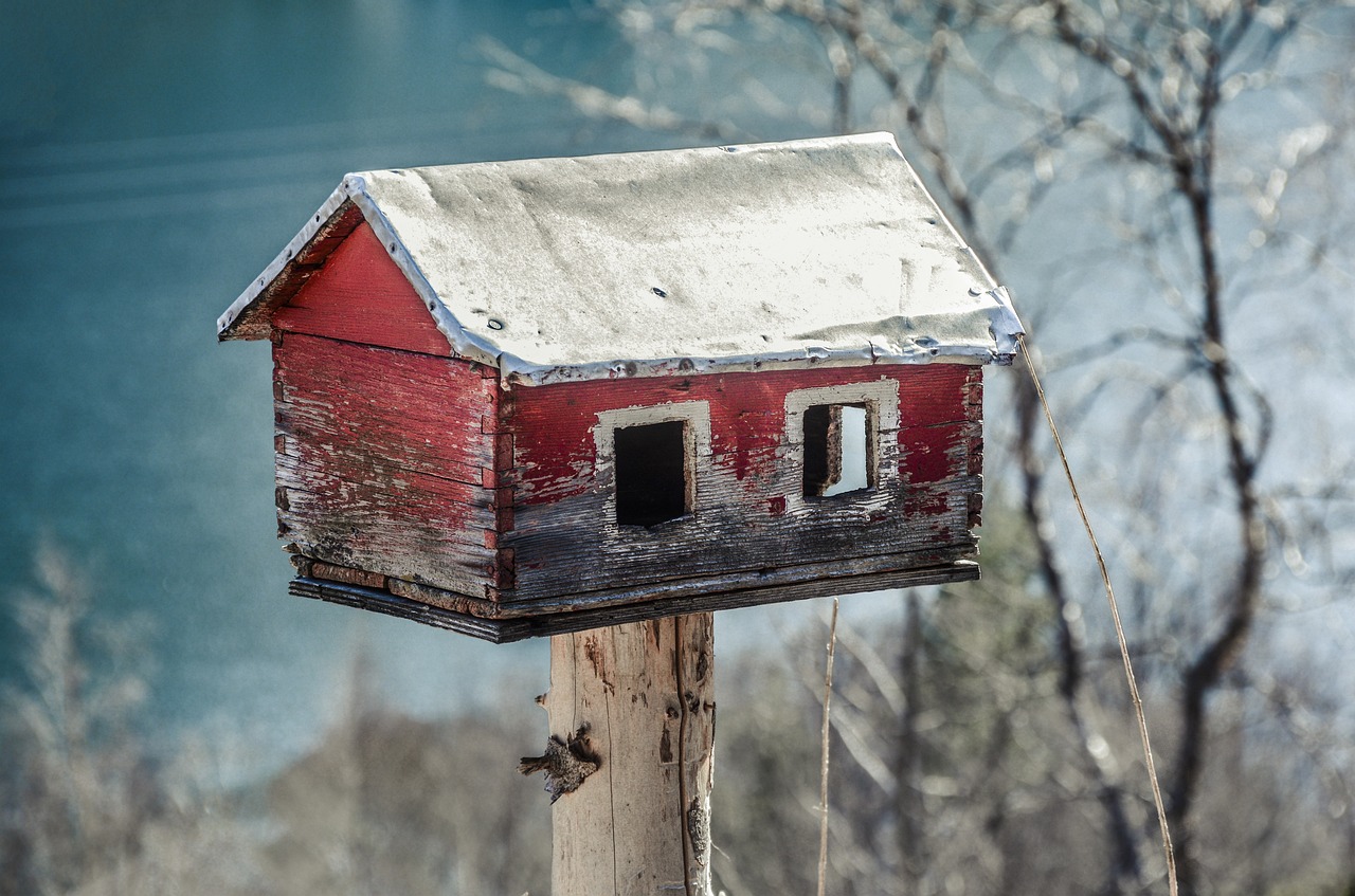 Simple DIY Birdhouses for Your Eco-Friendly Garden